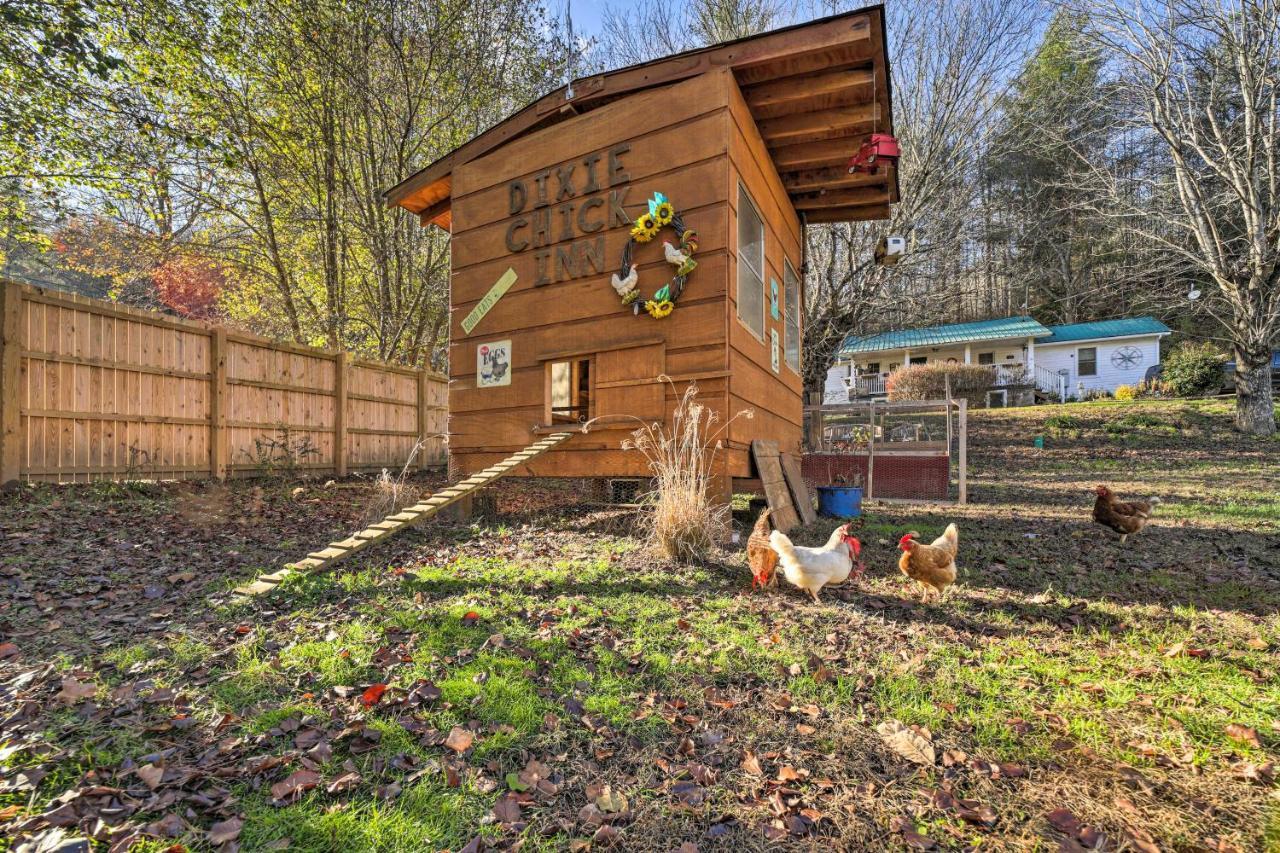 Smoky Mountain Vacation Rental With Hot Tub And Kayaks Whittier Exteriér fotografie